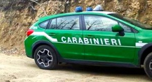 Carabinieri-Forestale-auto